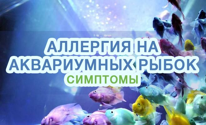 Аллергия на аквариумных рыбок - симптомы