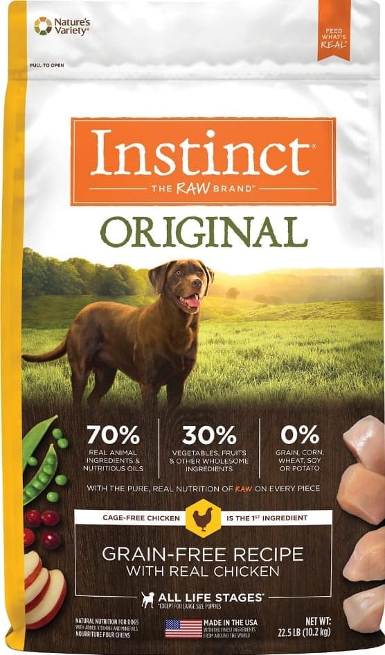10 Best Dog Foods in 2020 plus our Picks for the Worst 16