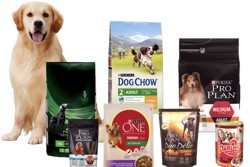 Пес и упаковки с кормами