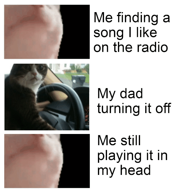 Me finding a song I like on the radio Мy dad turning it off Me still playing it in my head Cat Skin Text Nose Neck Joint