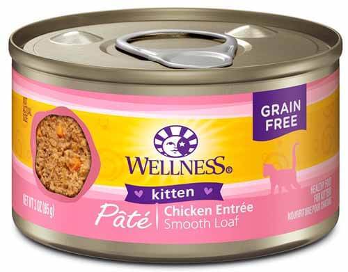 best kitten canned food