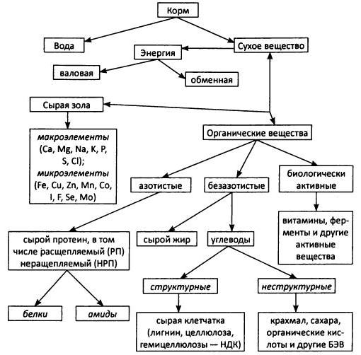 Схема зоотехнического анализа кормов