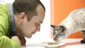 Можно ли есть кошачий корм человеку и если нет, то почему