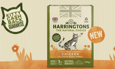 Free Cat Food from Harringtons