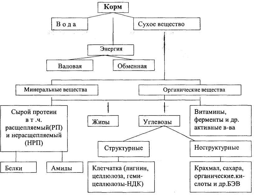 Схема зоотехнического анализа кормов