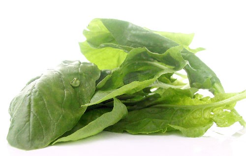 Hydroponically-producted-baby-spinach