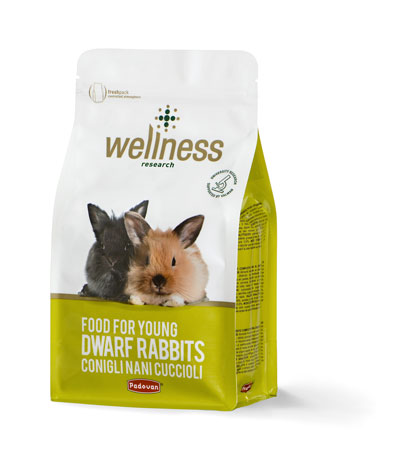 Wellness young dwarf rabbits