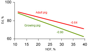 Energy digestibility in pigs