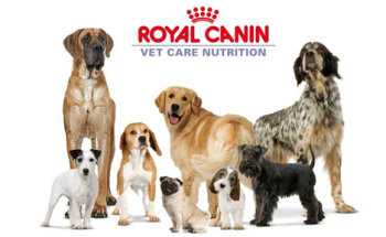 Royal canin собачий корм